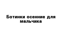 Ботинки осенние для мальчика